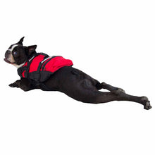 Load image into Gallery viewer, NRS Canine Flotation Device (CFD)